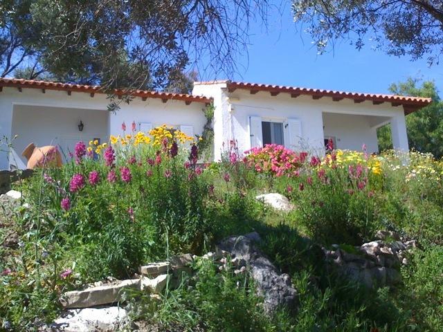 Elena Bungalows Pythagóreion Quarto foto